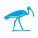 Razítko ibis